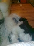 photo0029.jpg