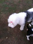 IMG_0001~1.JPG