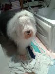 20130225_170240.jpg