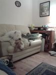 20130316_202714.jpg