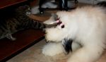 DSC_7936_edited-1.jpg