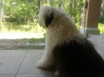 IMG_20120414_112731.jpg