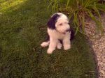 IMG_20120717_182648.jpg