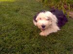 IMG_20120717_182713.jpg