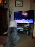 20130310_190856.jpeg