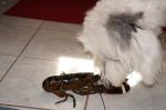 DSC00421.JPG