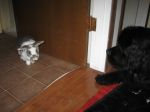 100_1285.JPG