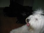 IMG_1257.JPG