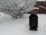 busternov2013-1.jpg