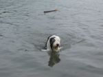 montybakerspark1august2014.jpg