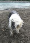 montybakersparkaugust2014.jpg
