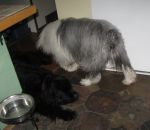 montybathdec2012-10.jpg