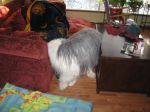 montybathdec2012-11.jpg