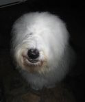 montybathdec2012-14.jpg