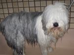 montybathdec2012-4.jpg