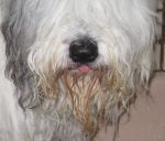 montybathdec2012-5.jpg