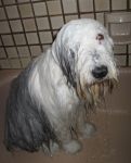 montybathdec2012-6.jpg