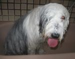 montybathdec2012-7.jpg