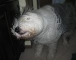 montybathdec2012-8.jpg