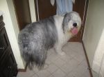 montybathdec2012-9.jpg