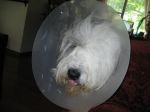 montyhoodjuly2012.jpg