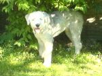 DSC00075.JPG
