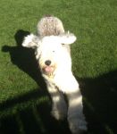In the garden like Murph 2.jpg