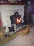 Teddy in front of the fire 2.jpg