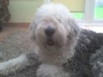 bob new 012~0.jpg