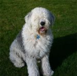murphy2.jpg