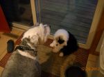 DSCN1379.JPG