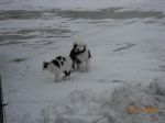 DSCN1396.JPG