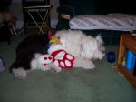 Picture 148.jpg